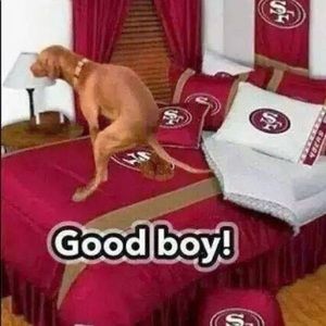 Meet your Posher, Gavin